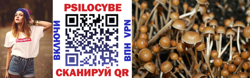 Галлюциногенные грибы мухоморы  Таштагол 
